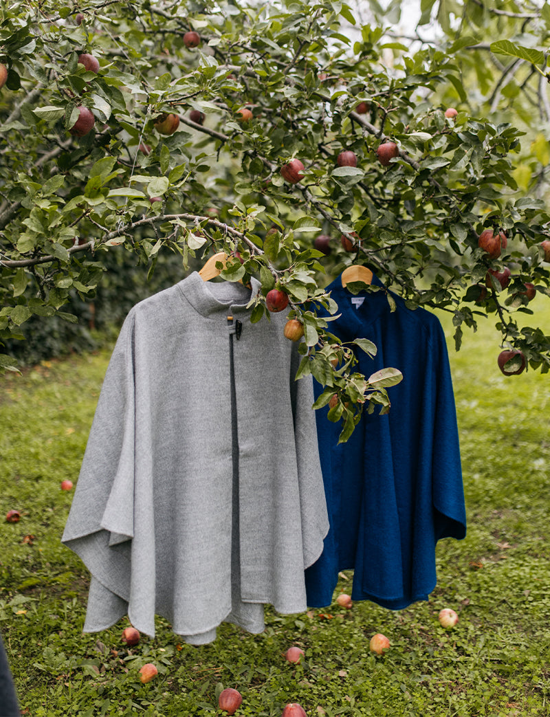 Composición de Capas Neru peruanas de baby alapca